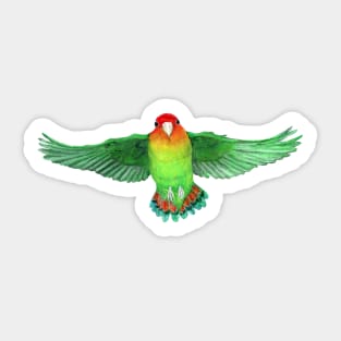 Flying parrot acrylic painting Sticker